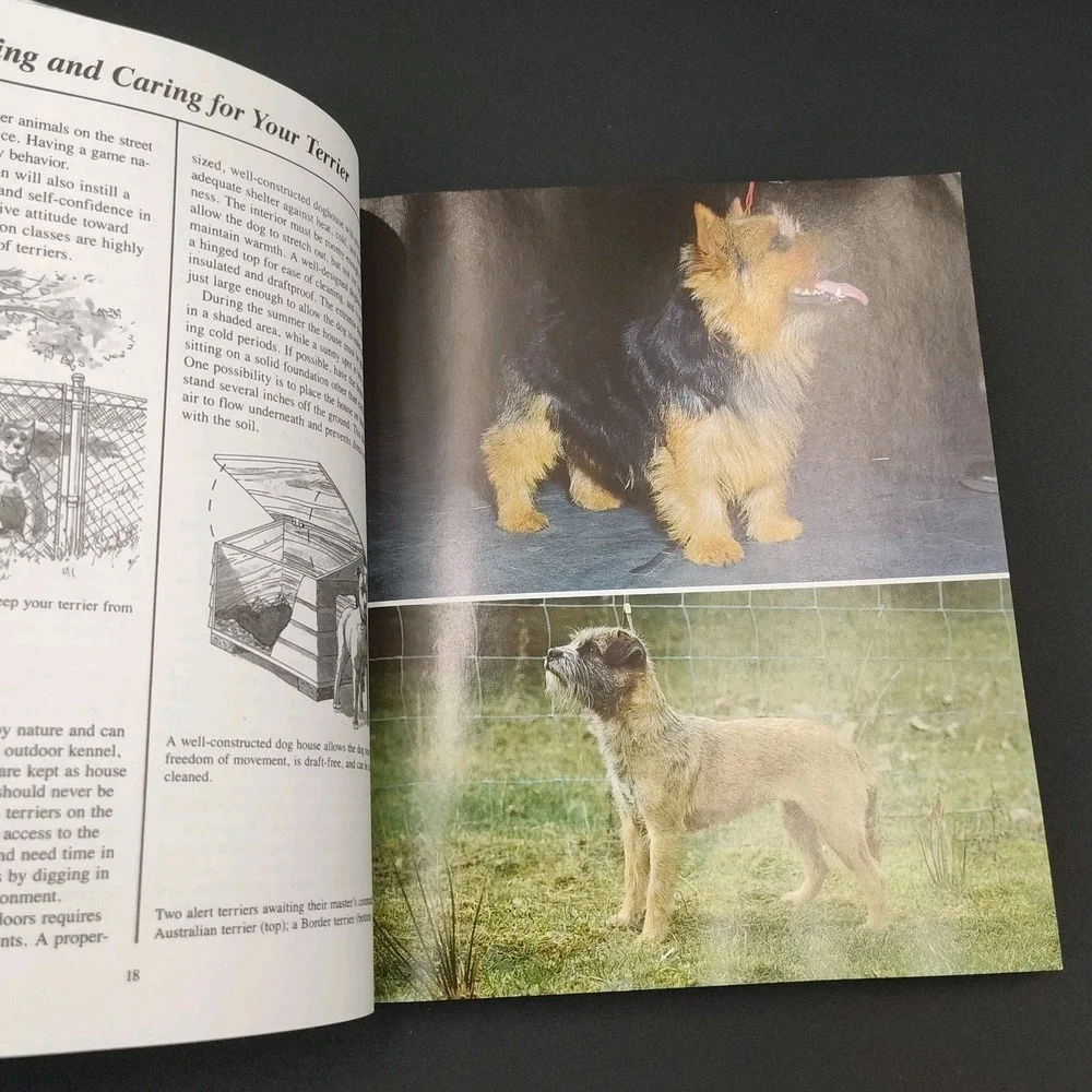 N/A ✅🐶📕the new